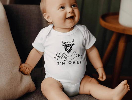 Custom baby tees and onesies