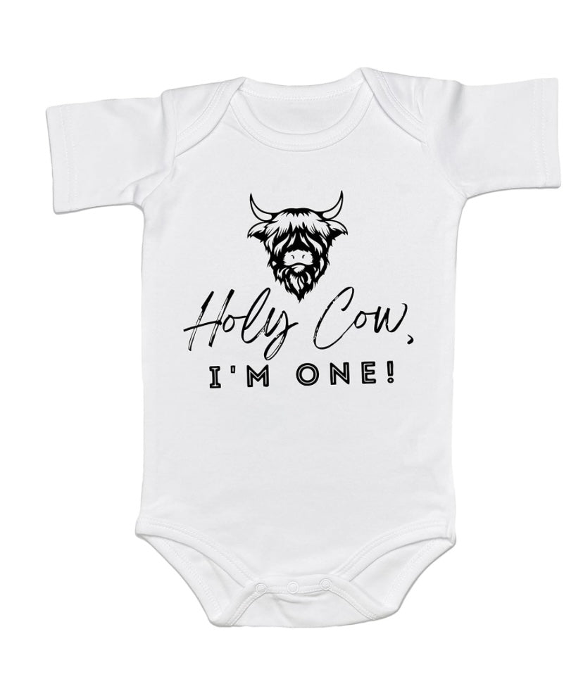 Custom baby tees and onesies